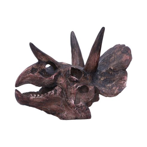 Triceratops Skull 14.5cm