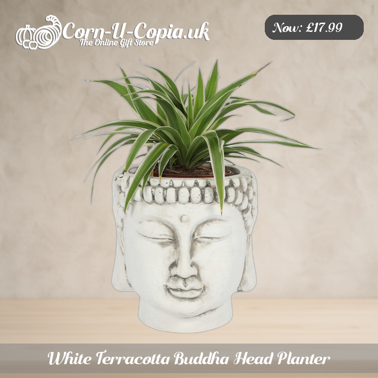 White Terracotta Buddha Head Planter Ad 1