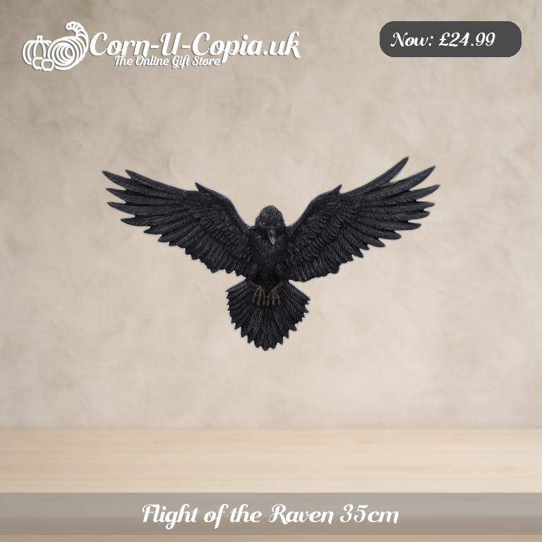 Flight of the Raven 35cm Ad 1