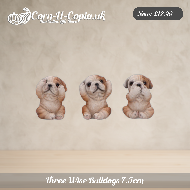 Three Wise Bulldogs 7.5cm Ad 1
