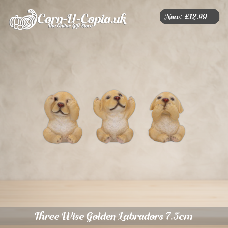 Three Wise Golden Labradors 7.5cm Ad 1