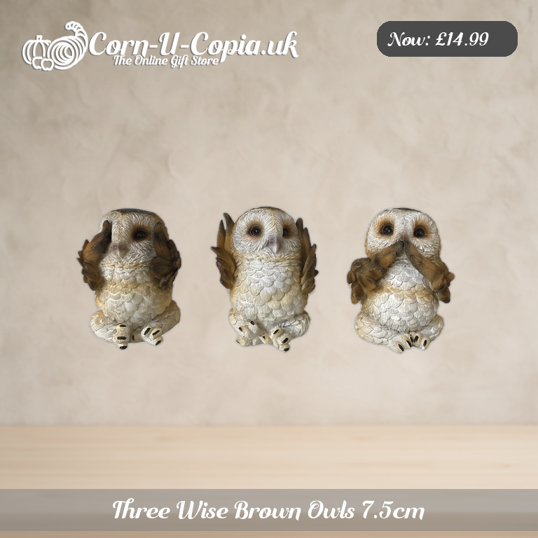 Three Wise Brown Owls 7.5cm Ad 1