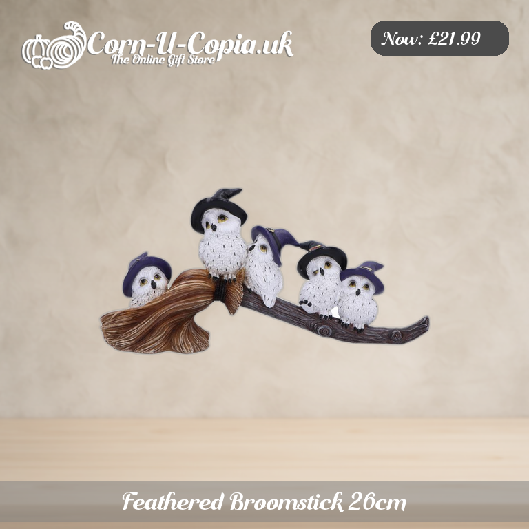 Feathered Broomstick 26cm Ad 1