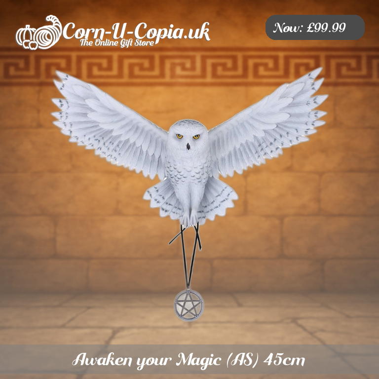 Awaken your Magic (AS) 45cm Ad 1