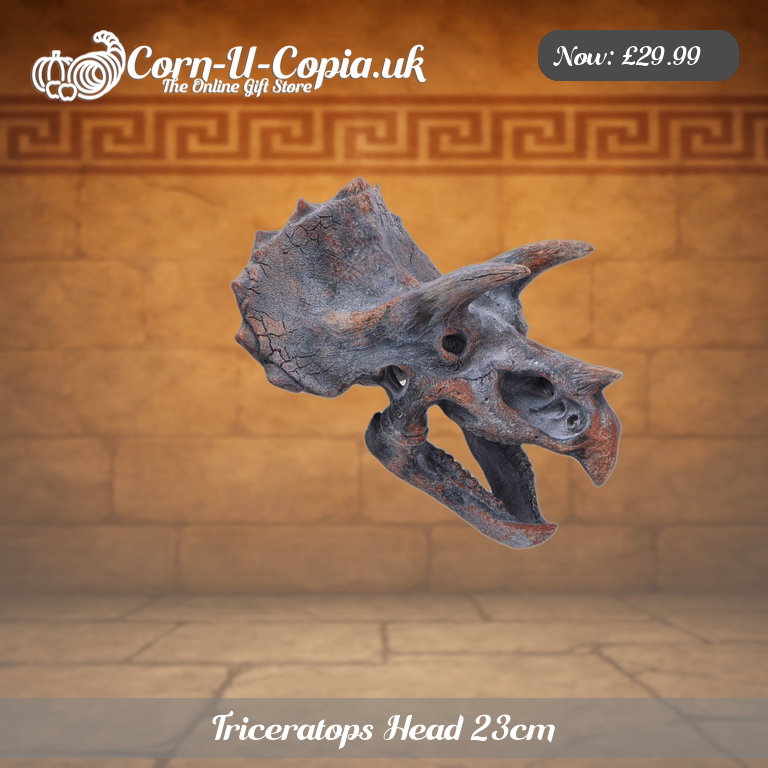 Triceratops Head 23cm Ad 1