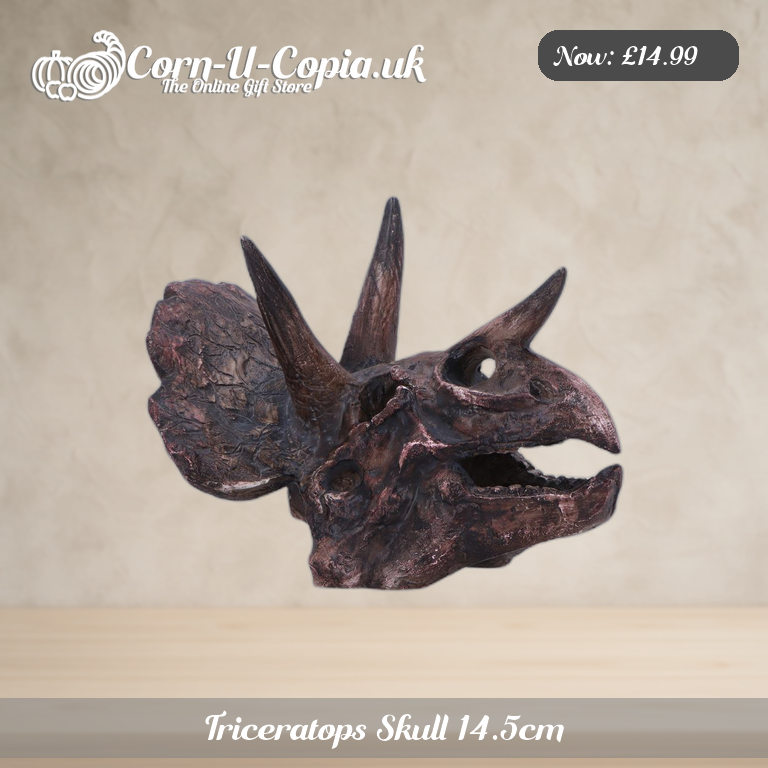Triceratops Skull 14.5cm Ad 1