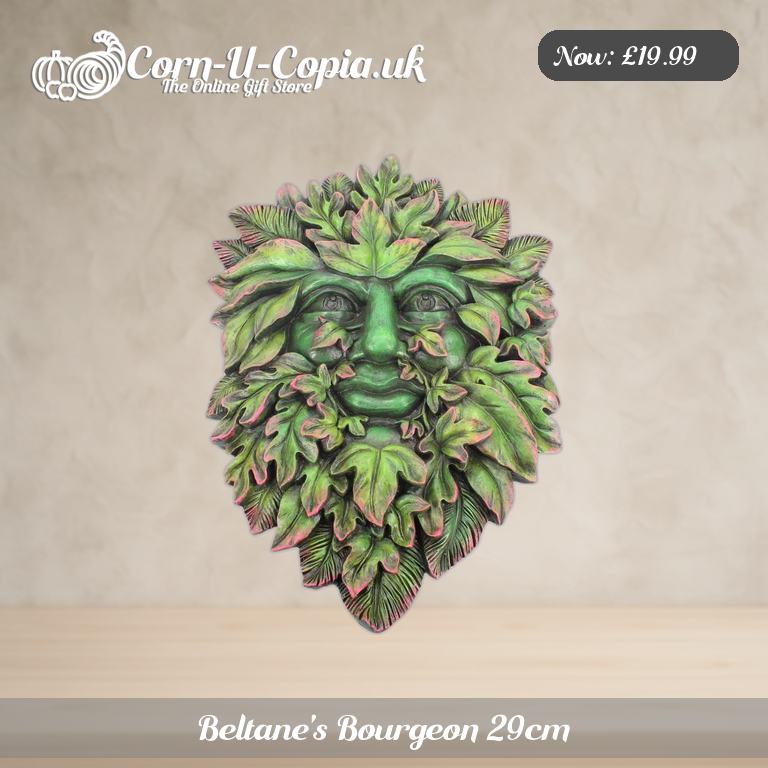 Beltane's Bourgeon 29cm Ad 1