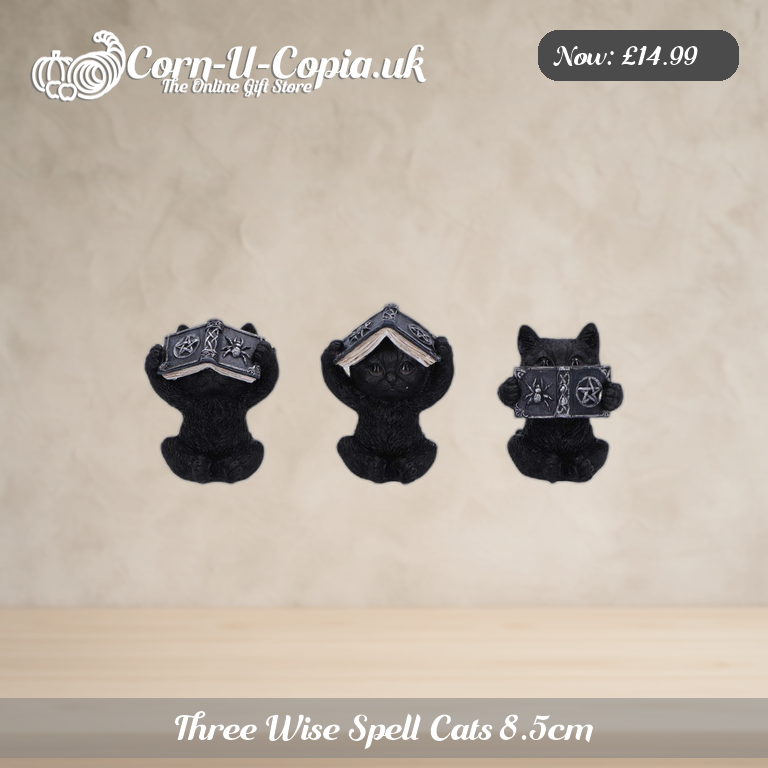Three Wise Spell Cats 8.5cm Ad 1