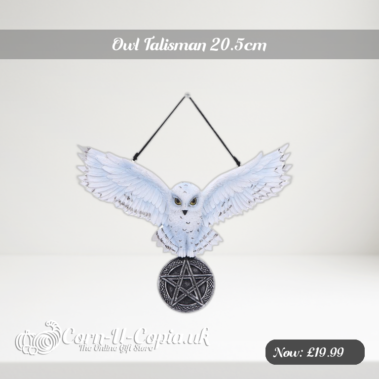 Owl Talisman 20.5cm Ad 2