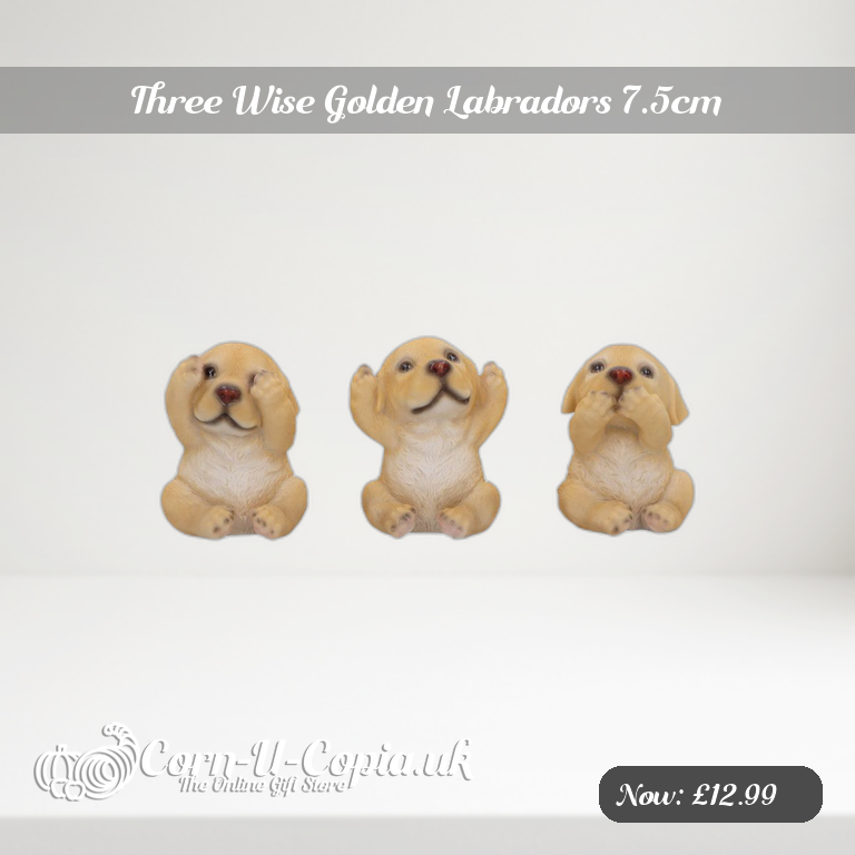 Three Wise Golden Labradors 7.5cm Ad 2