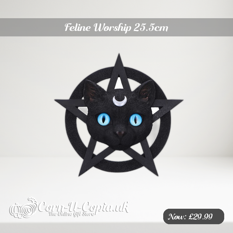 Feline Worship 25.5cm Ad 2