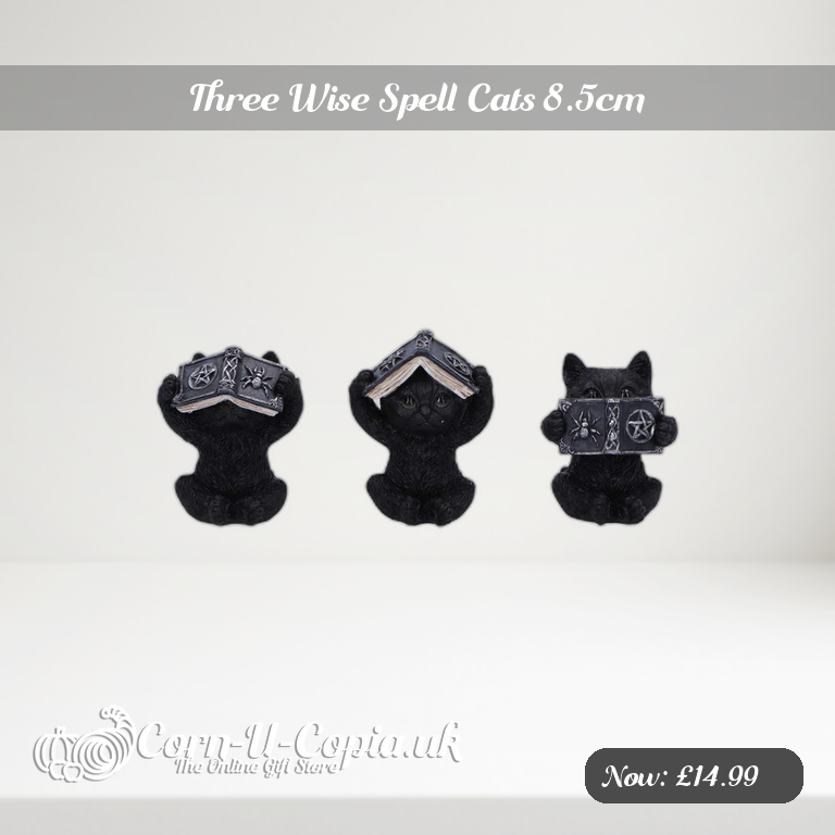 Three Wise Spell Cats 8.5cm Ad 2