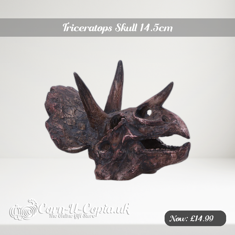 Triceratops Skull 14.5cm Ad 2