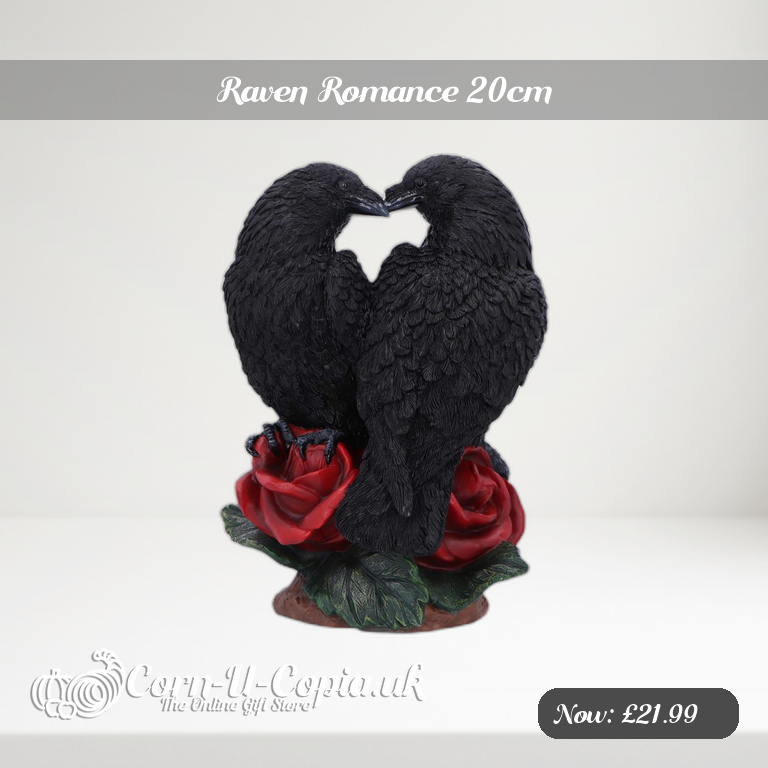 Raven Romance 20cm Ad 2