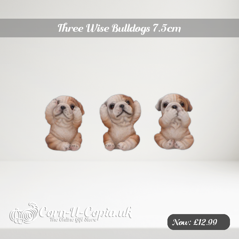 Three Wise Bulldogs 7.5cm Ad 2