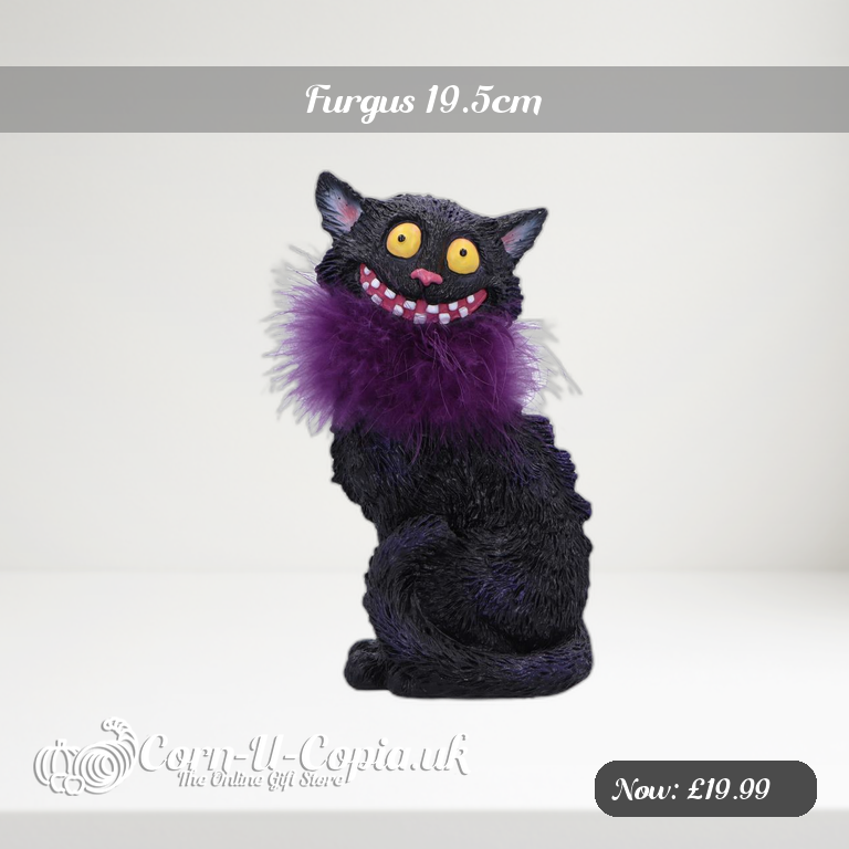 Furgus 19.5cm Ad 2