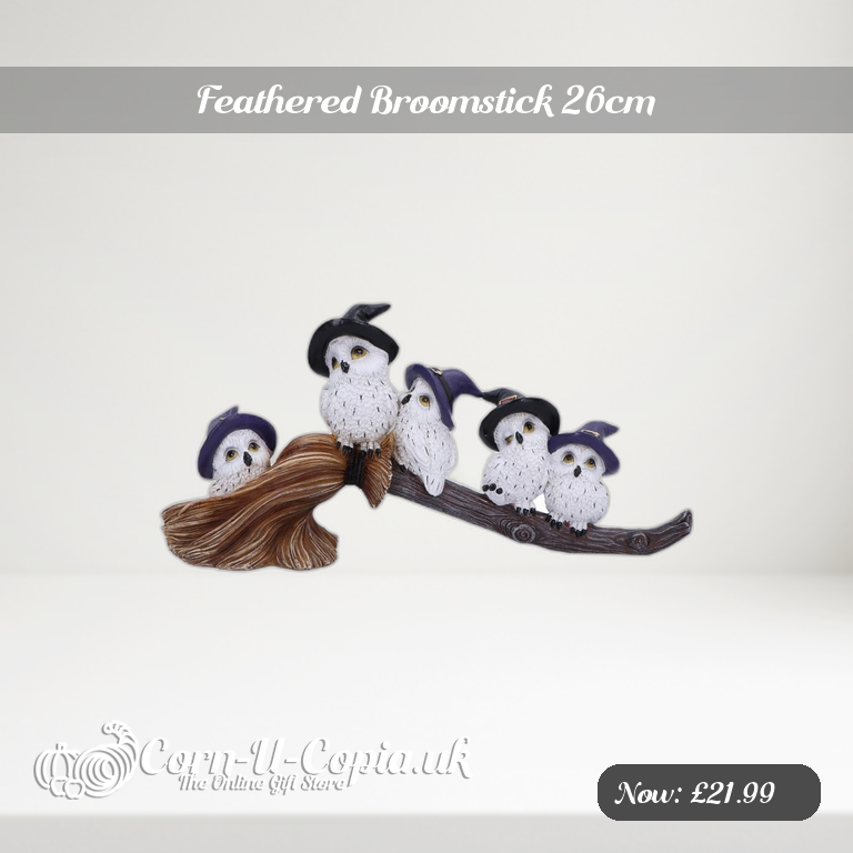 Feathered Broomstick 26cm Ad 2
