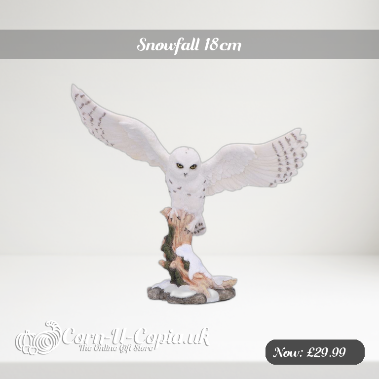 Snowfall 18cm Ad 2
