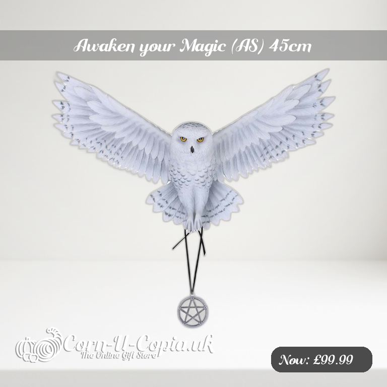 Awaken your Magic (AS) 45cm Ad 2