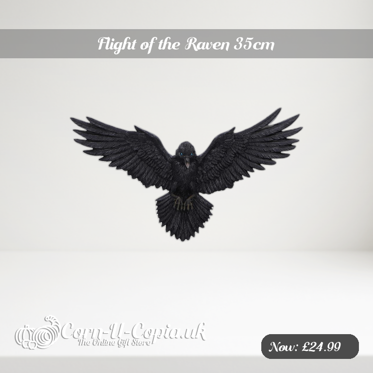 Flight of the Raven 35cm Ad 2