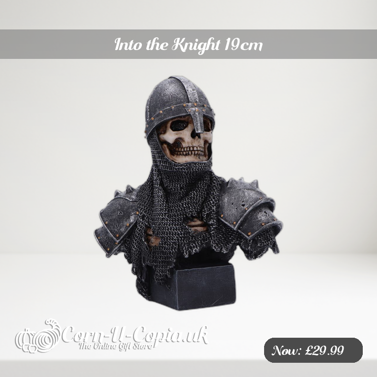 Into the Knight 19cm Ad 2