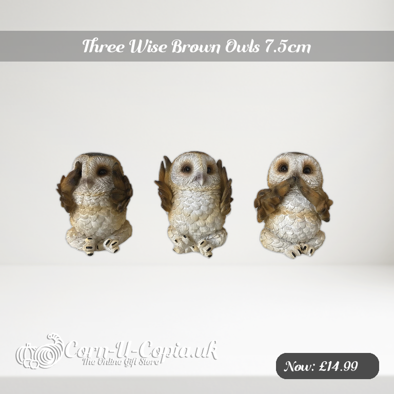 Three Wise Brown Owls 7.5cm Ad 2
