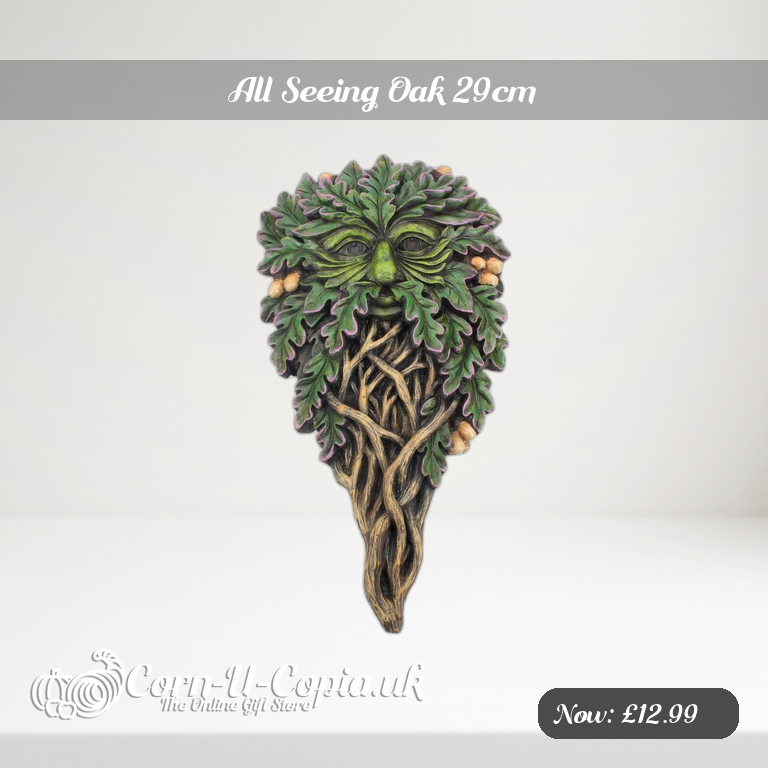 All Seeing Oak 29cm Ad 2