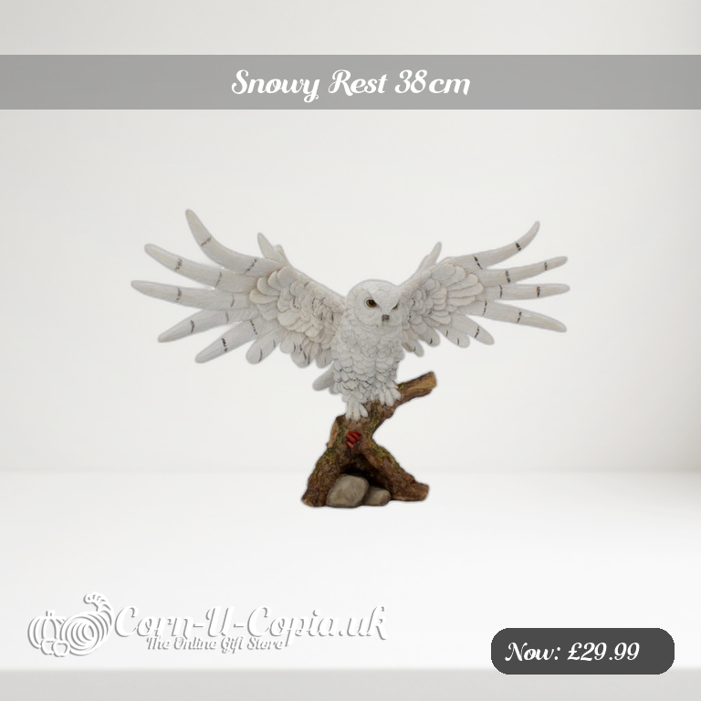 Snowy Rest 38cm Ad 2