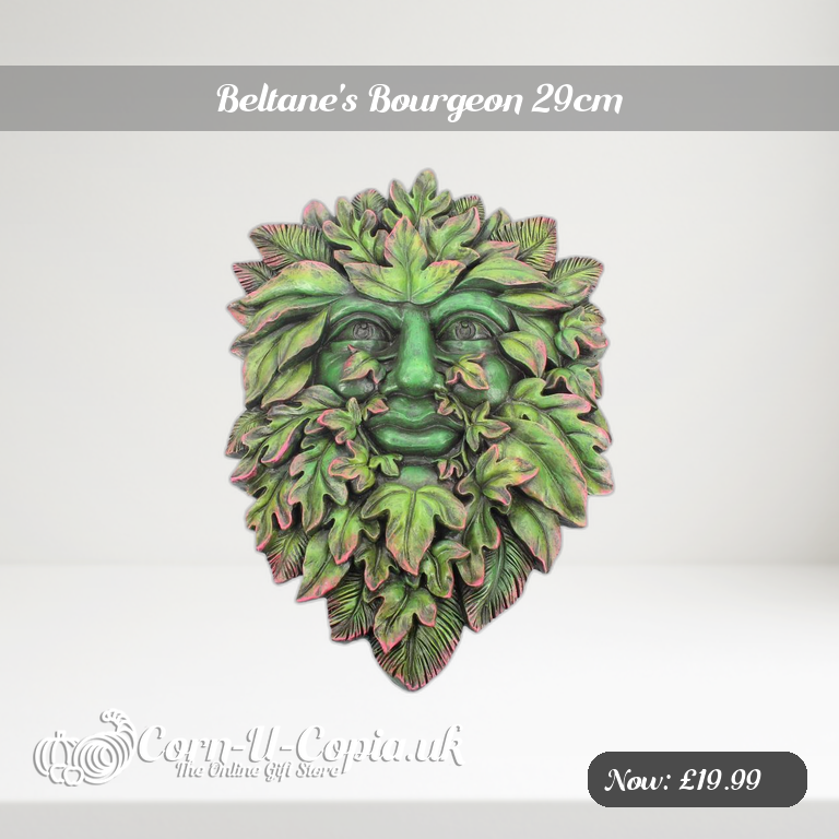 Beltane's Bourgeon 29cm Ad 2
