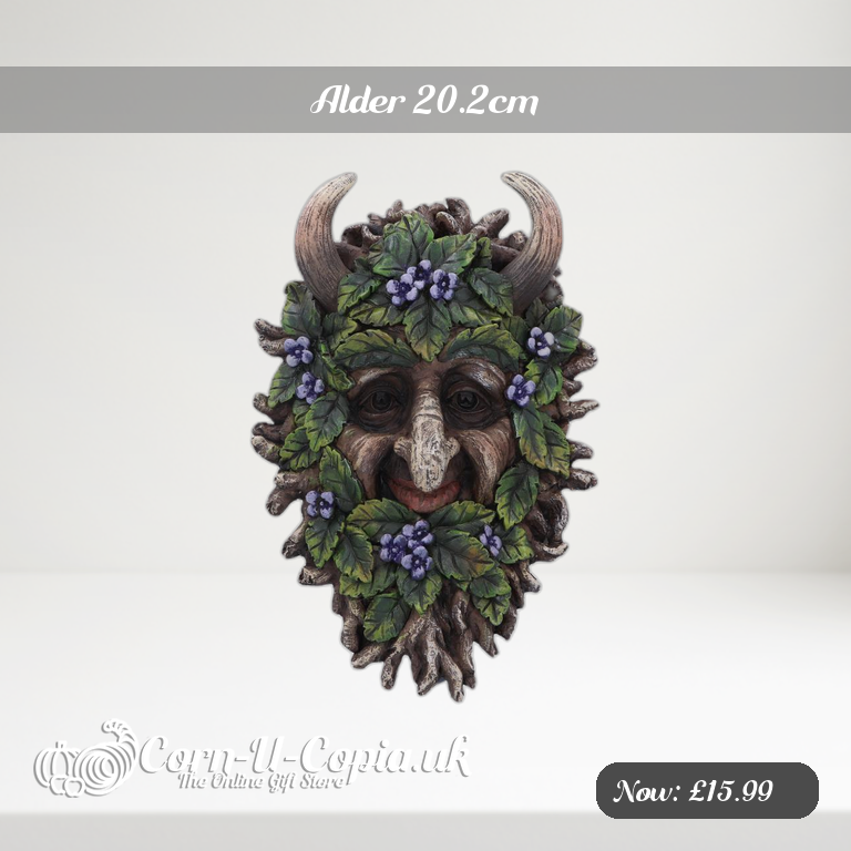 Alder 20.2cm Ad 2