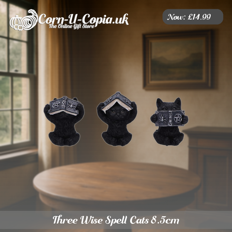 Three Wise Spell Cats 8.5cm Ad 3