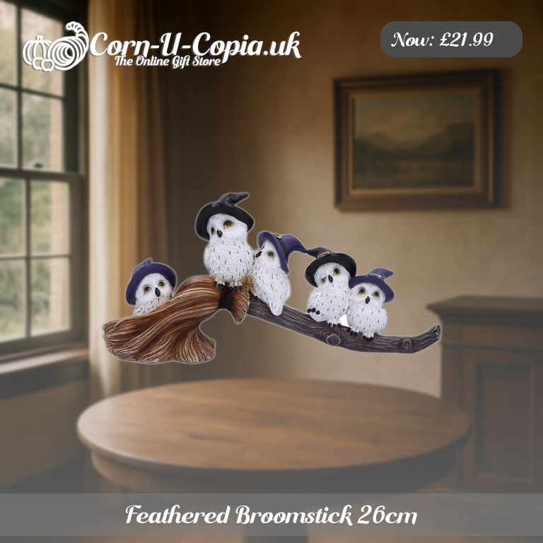 Feathered Broomstick 26cm Ad 3