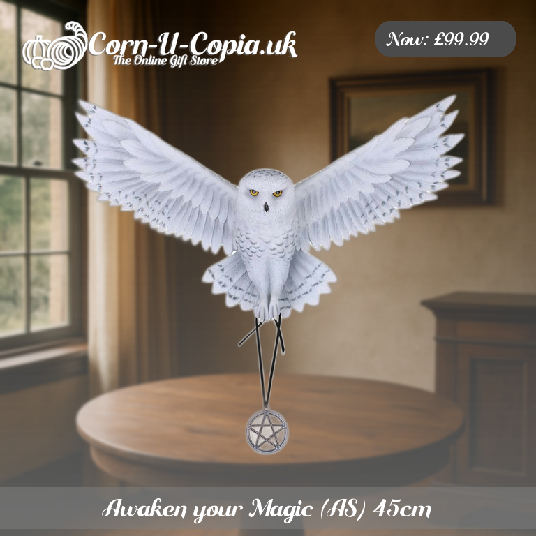 Awaken your Magic (AS) 45cm Ad 3