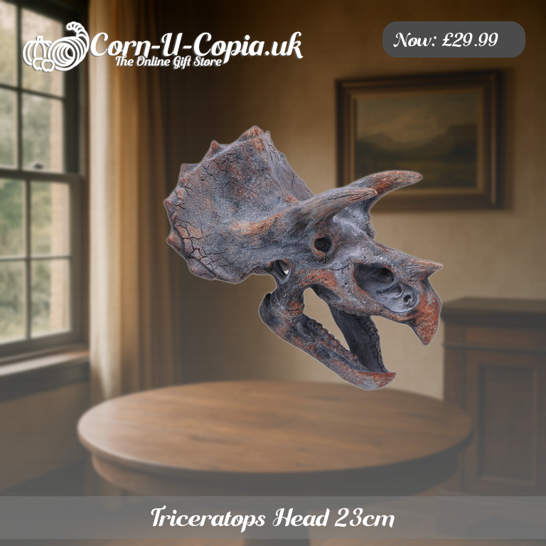 Triceratops Head 23cm Ad 3