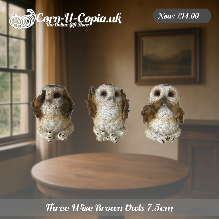 Three Wise Brown Owls 7.5cm Ad 3