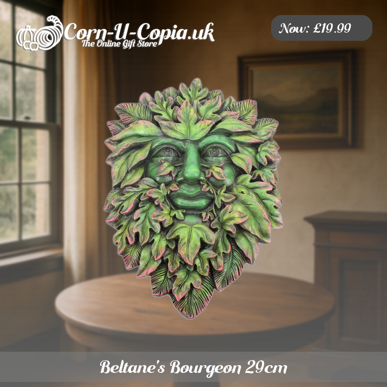 Beltane's Bourgeon 29cm Ad 3