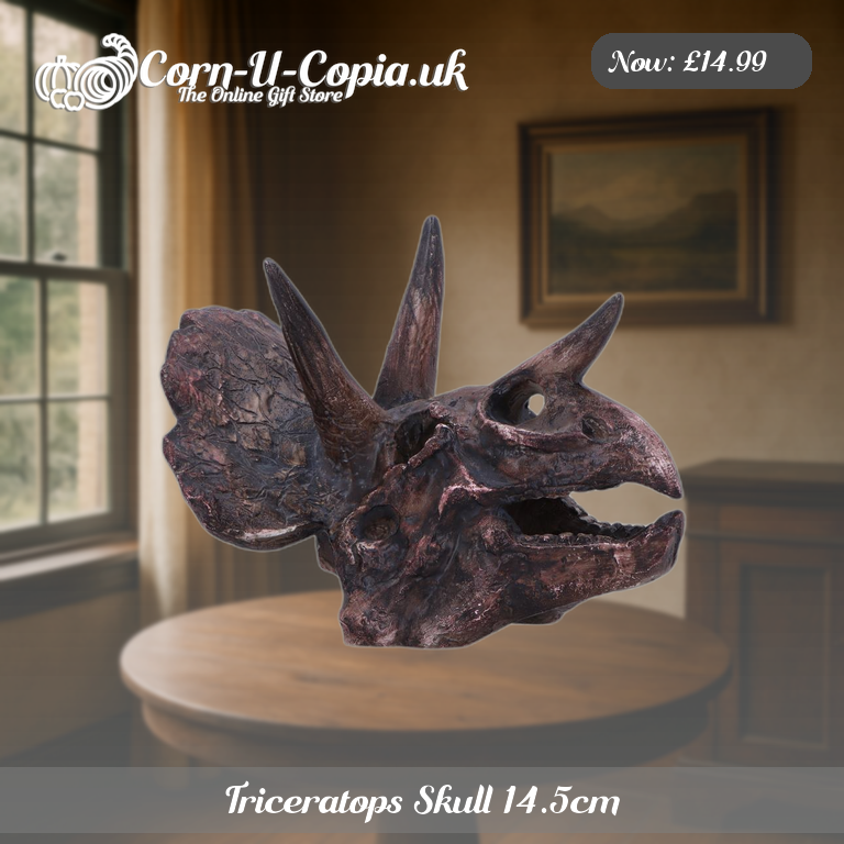 Triceratops Skull 14.5cm Ad 3