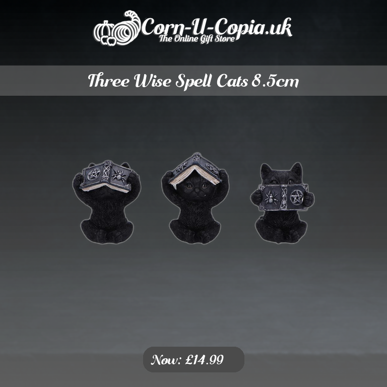 Three Wise Spell Cats 8.5cm Ad 4
