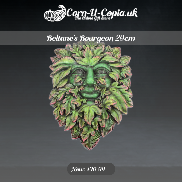 Beltane's Bourgeon 29cm Ad 4