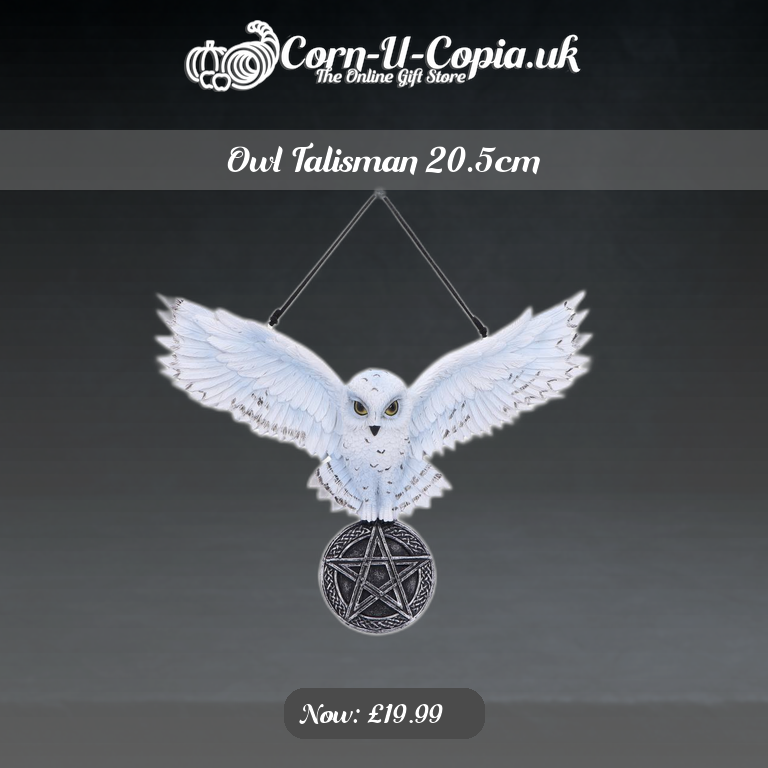 Owl Talisman 20.5cm Ad 4