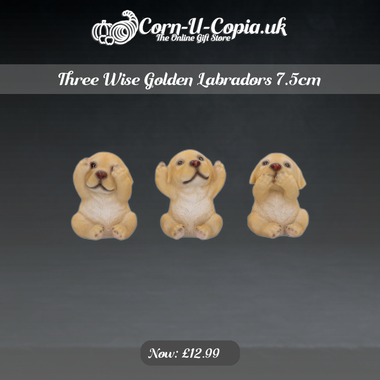 Three Wise Golden Labradors 7.5cm Ad 4