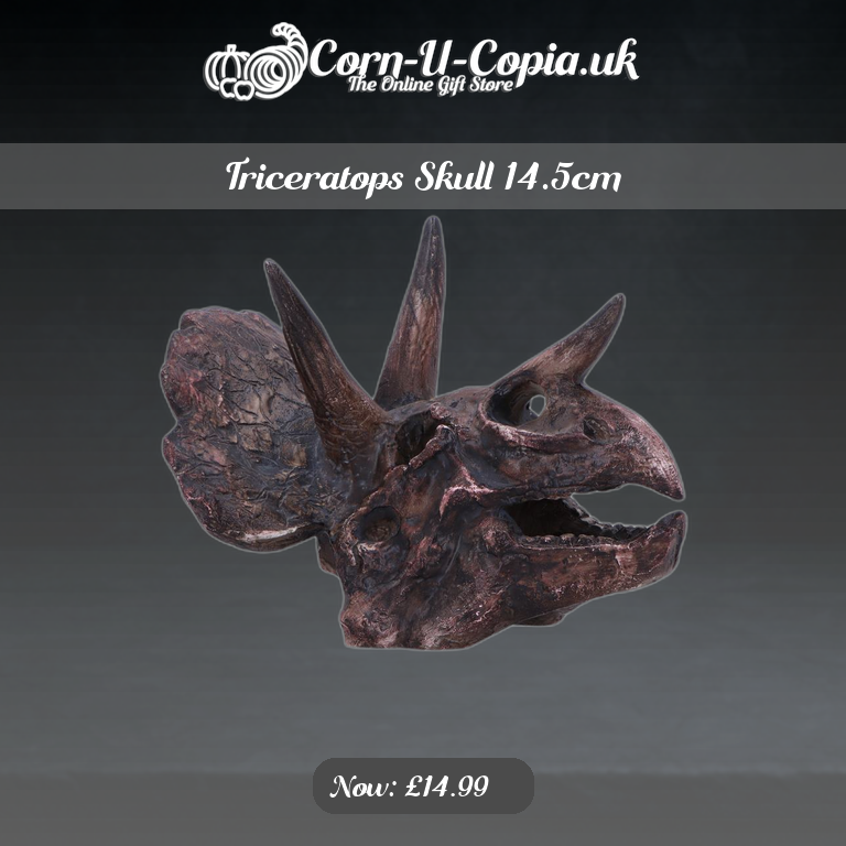 Triceratops Skull 14.5cm Ad 4