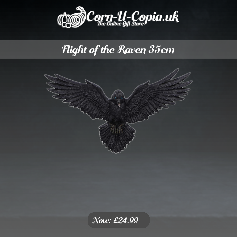 Flight of the Raven 35cm Ad 4