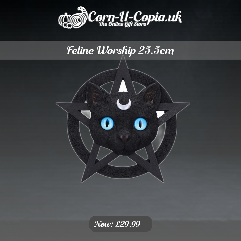 Feline Worship 25.5cm Ad 4