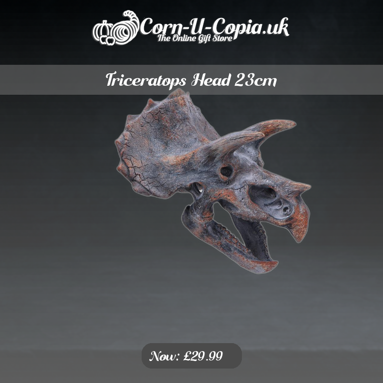 Triceratops Head 23cm Ad 4