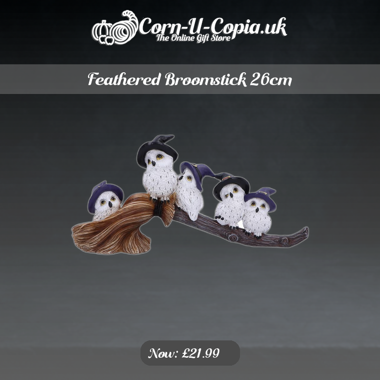 Feathered Broomstick 26cm Ad 4