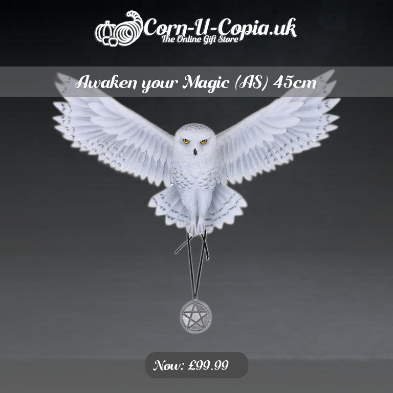 Awaken your Magic (AS) 45cm Ad 4