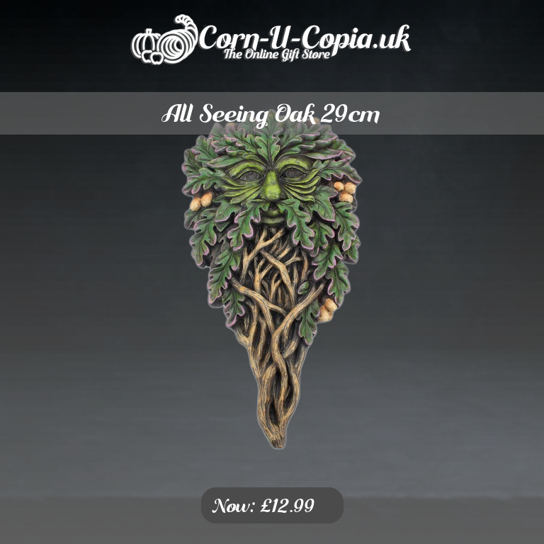 All Seeing Oak 29cm Ad 4
