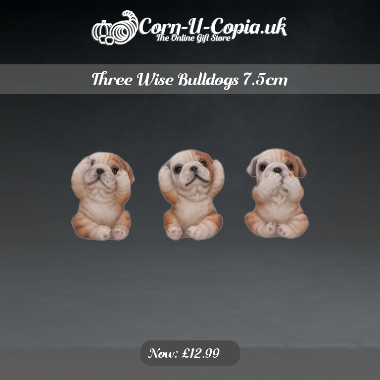 Three Wise Bulldogs 7.5cm Ad 4