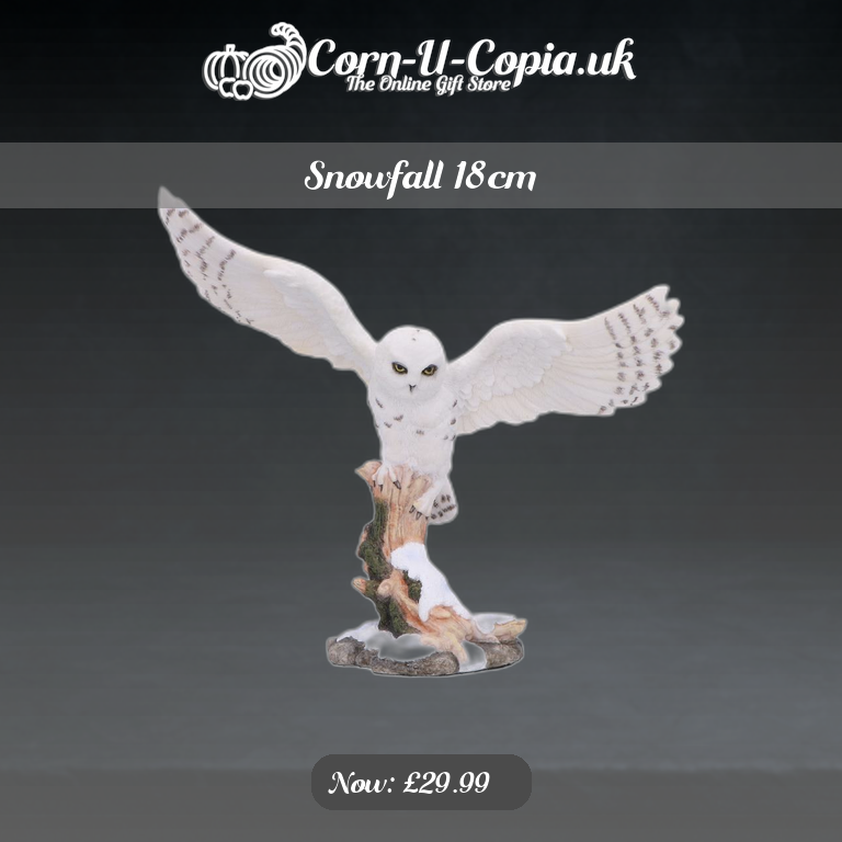Snowfall 18cm Ad 4